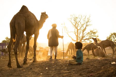 Program för Indien runt på 15 dagar