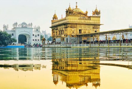 the golden temple Program – 21-dagars rundresa i norra Indien